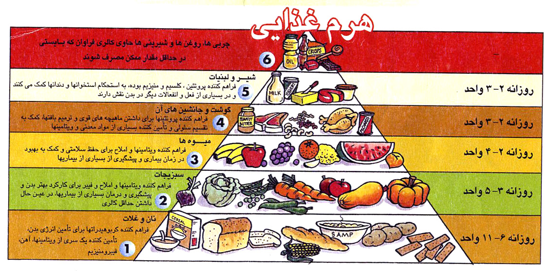 هرم غذایی